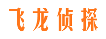 宿松飞龙私家侦探公司